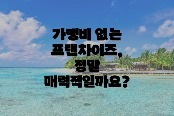 가맹비 없는 프랜차이즈, 정말 매력적일까요?