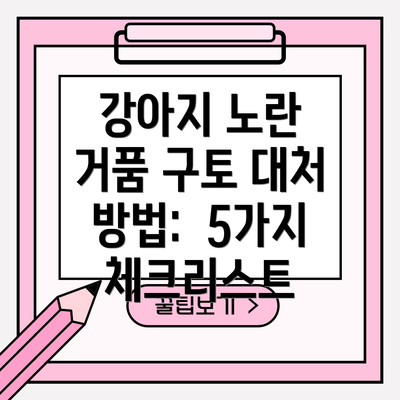 강아지 노란 거품 구토 대처 방법:  5가지 체크리스트