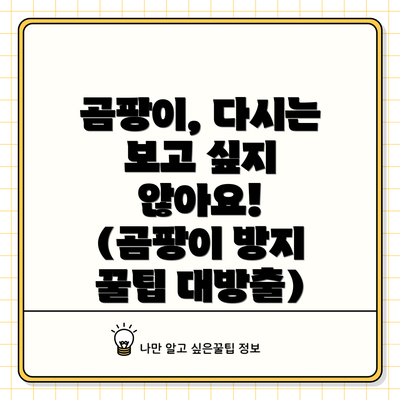 곰팡이, 다시는 보고 싶지 않아요! (곰팡이 방지 꿀팁 대방출)
