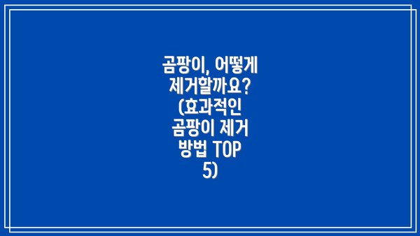 곰팡이, 어떻게 제거할까요? (효과적인 곰팡이 제거 방법 TOP 5)