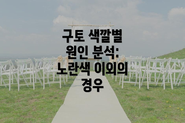 구토 색깔별 원인 분석: 노란색 이외의 경우