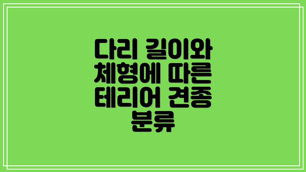 다리 길이와 체형에 따른 테리어 견종 분류