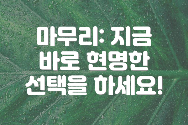 마무리: 지금 바로 현명한 선택을 하세요!