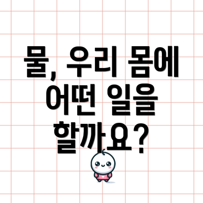 물, 우리 몸에 어떤 일을 할까요?