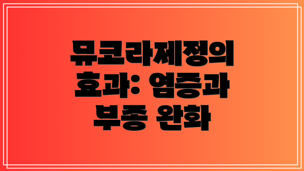 뮤코라제정의 효과: 염증과 부종 완화