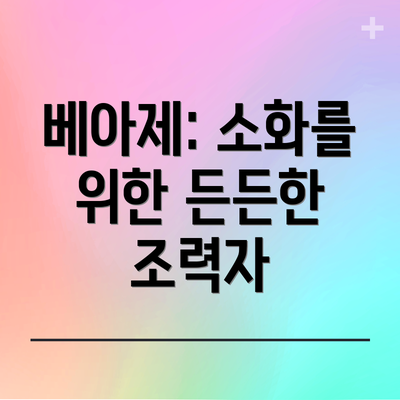 베아제: 소화를 위한 든든한 조력자