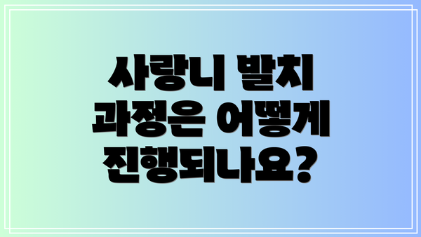사랑니 발치 과정은 어떻게 진행되나요?