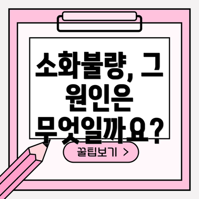 소화불량, 그 원인은 무엇일까요?