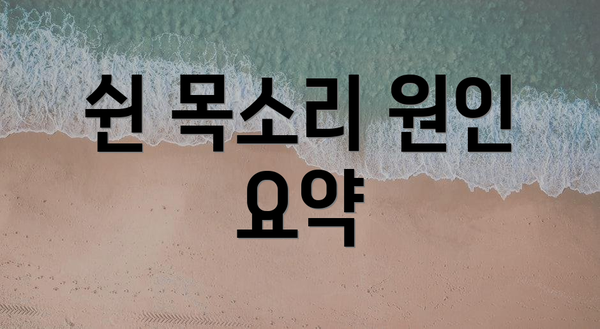 쉰 목소리 원인 요약