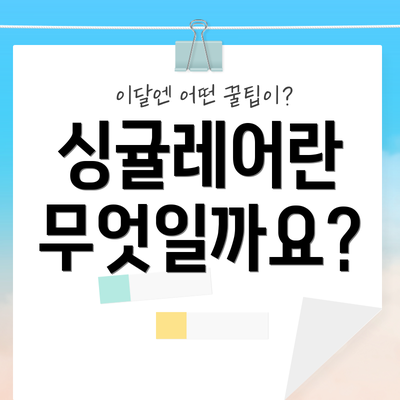 싱귤레어란 무엇일까요?
