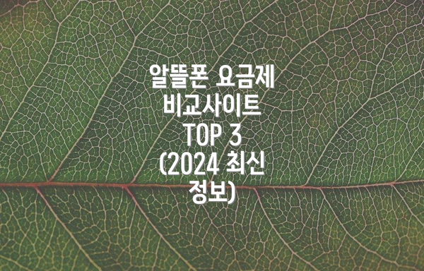 알뜰폰 요금제 비교사이트 TOP 3 (2024 최신 정보)