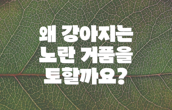 왜 강아지는 노란 거품을 토할까요?
