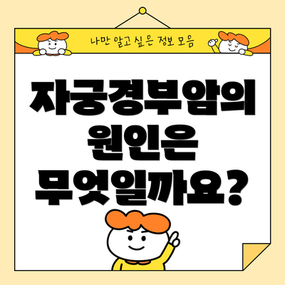 자궁경부암의 원인은 무엇일까요?
