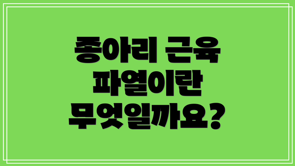 종아리 근육 파열이란 무엇일까요?