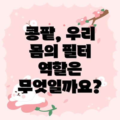 콩팥, 우리 몸의 필터 역할은 무엇일까요?