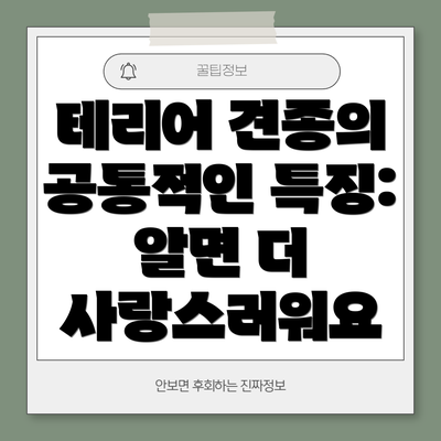 테리어 견종의 공통적인 특징: 알면 더 사랑스러워요