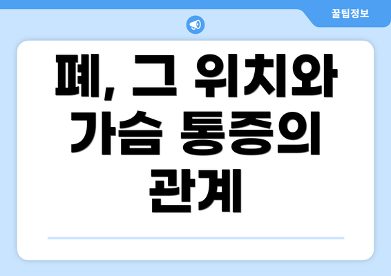 폐, 그 위치와 가슴 통증의 관계