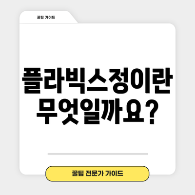 플라빅스정이란 무엇일까요?