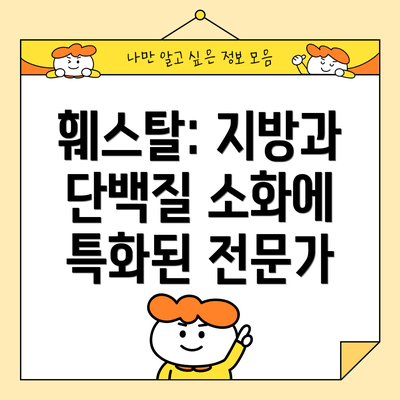 훼스탈: 지방과 단백질 소화에 특화된 전문가