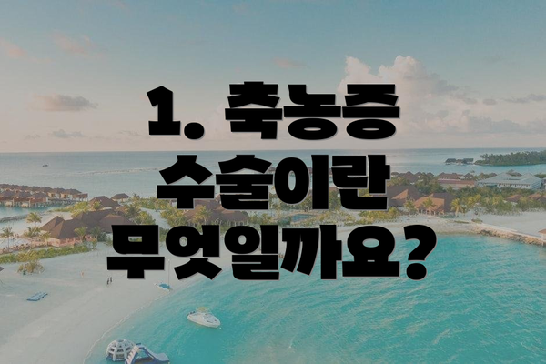 1. 축농증 수술이란 무엇일까요?