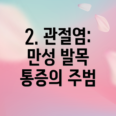 2. 관절염: 만성 발목 통증의 주범