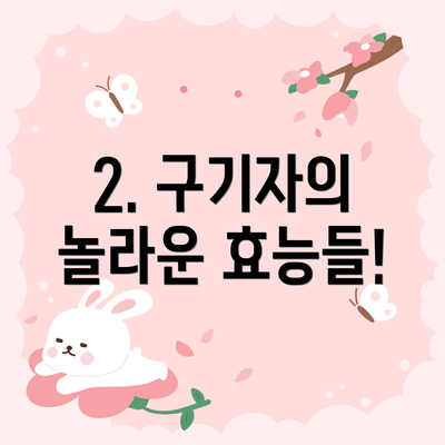 2. 구기자의 놀라운 효능들!