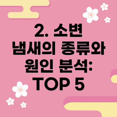2. 소변 냄새의 종류와 원인 분석: TOP 5
