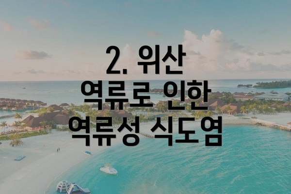 2. 위산 역류로 인한 역류성 식도염