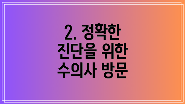 2. 정확한 진단을 위한 수의사 방문