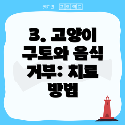 3. 고양이 구토와 음식 거부: 치료 방법