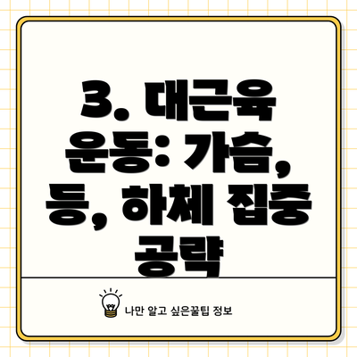 3. 대근육 운동: 가슴, 등, 하체 집중 공략