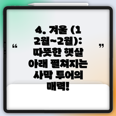 4. 겨울 (12월~2월): 따뜻한 햇살 아래 펼쳐지는 사막 투어의 매력!