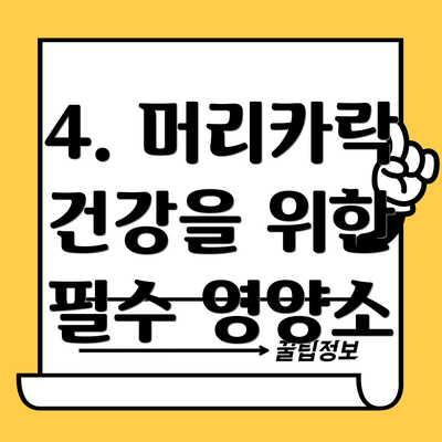 4. 머리카락 건강을 위한 필수 영양소