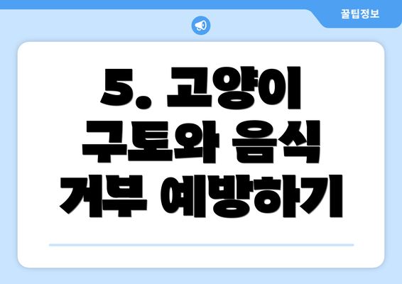 5. 고양이 구토와 음식 거부 예방하기