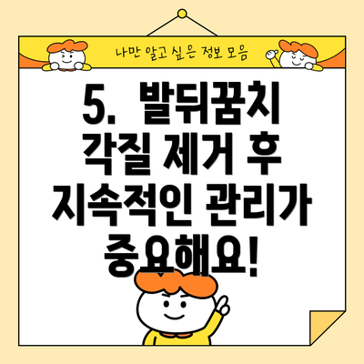 5.  발뒤꿈치 각질 제거 후 지속적인 관리가 중요해요!