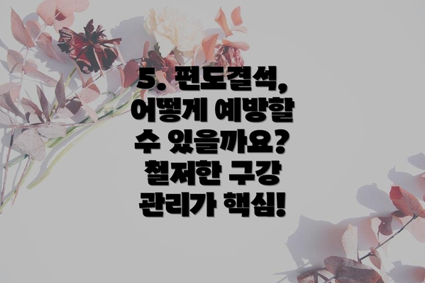 5. 편도결석, 어떻게 예방할 수 있을까요?  철저한 구강 관리가 핵심!