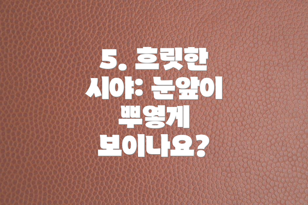 5. 흐릿한 시야: 눈앞이 뿌옇게 보이나요?