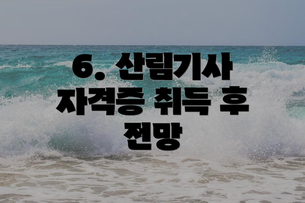 6. 산림기사 자격증 취득 후 전망