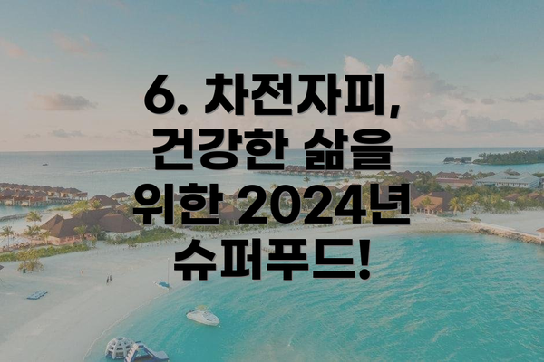 6. 차전자피, 건강한 삶을 위한 2024년 슈퍼푸드!