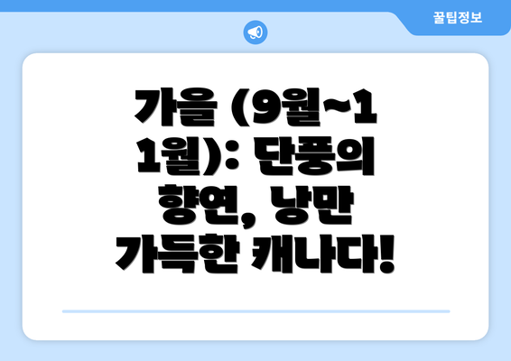 가을 (9월~11월): 단풍의 향연, 낭만 가득한 캐나다!