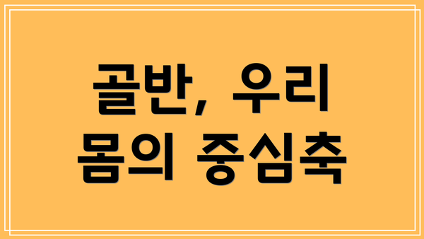 골반, 우리 몸의 중심축