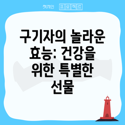 구기자의 놀라운 효능: 건강을 위한 특별한 선물