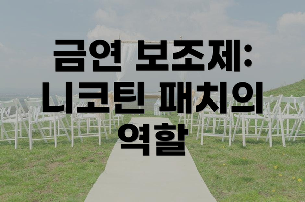 금연 보조제: 니코틴 패치의 역할