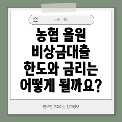농협 올원 비상금대출 한도와 금리는 어떻게 될까요?