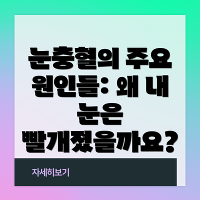 눈충혈의 주요 원인들: 왜 내 눈은 빨개졌을까요?