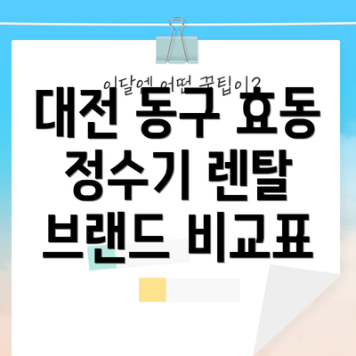 대전 동구 효동 정수기 렌탈 브랜드 비교표