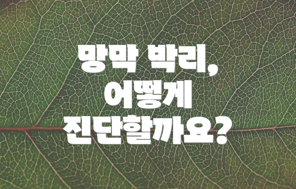 망막 박리, 어떻게 진단할까요?