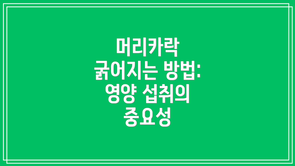 머리카락 굵어지는 방법: 영양 섭취의 중요성