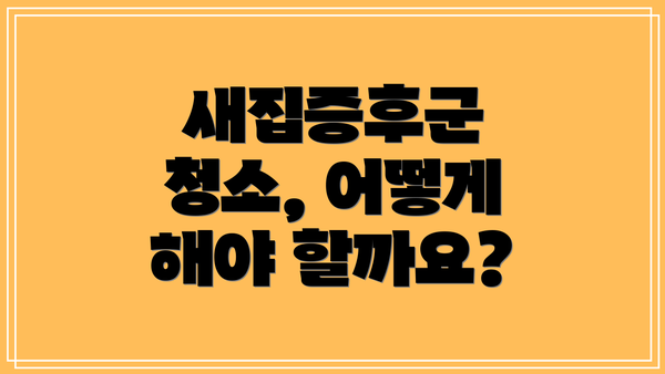 새집증후군 청소, 어떻게 해야 할까요?
