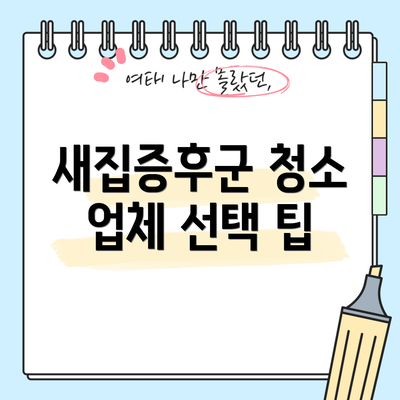 새집증후군 청소 업체 선택 팁